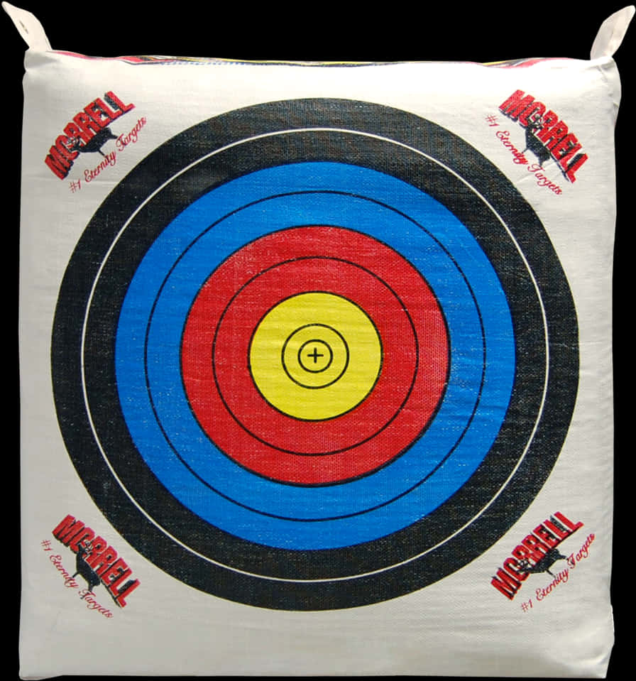 Archery Target Cushion PNG Image