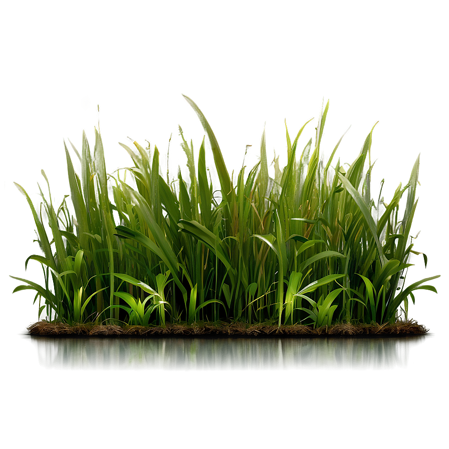 Architectural Grass Png Xiv6 PNG Image