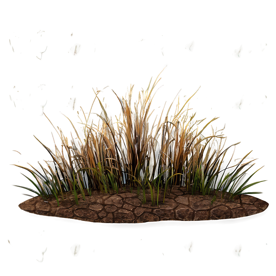 Arid Land Grass Png Svp75 PNG Image