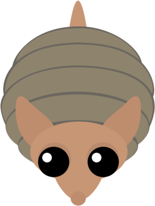 Armadillo Cartoon Graphic PNG Image