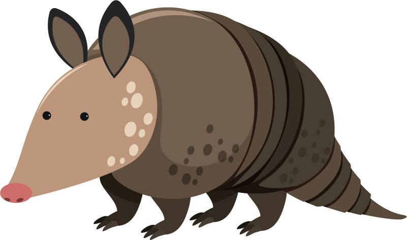 Armadillo Cartoon Illustration PNG Image