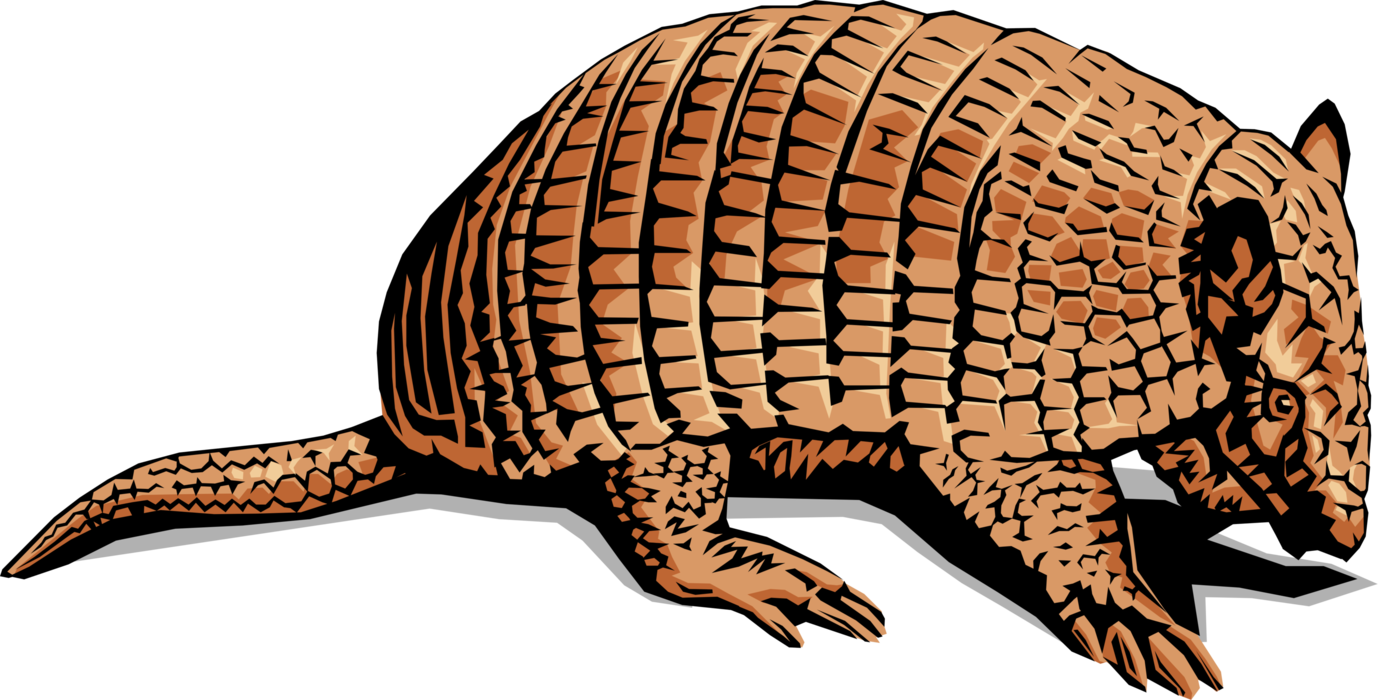 Armadillo Illustration.png PNG Image