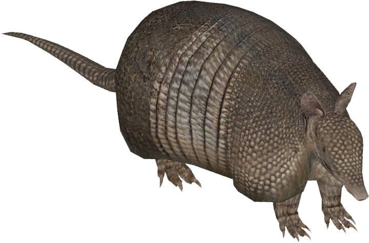 Armadillo Side View Graphic PNG Image