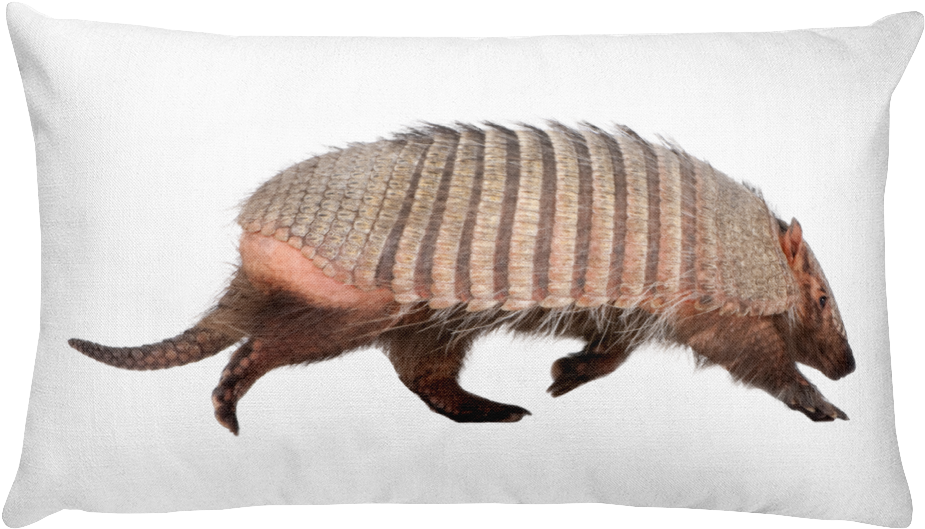 Armadilloon Pillow Graphic PNG Image