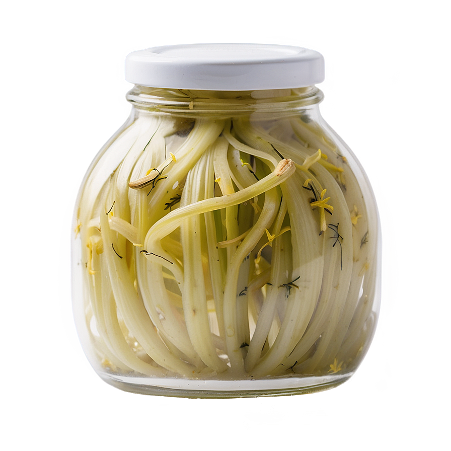 Aromatic Pickled Fennel Png 85 PNG Image