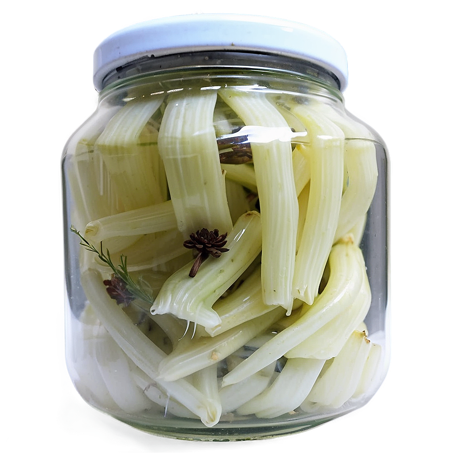 Aromatic Pickled Fennel Png 85 PNG Image