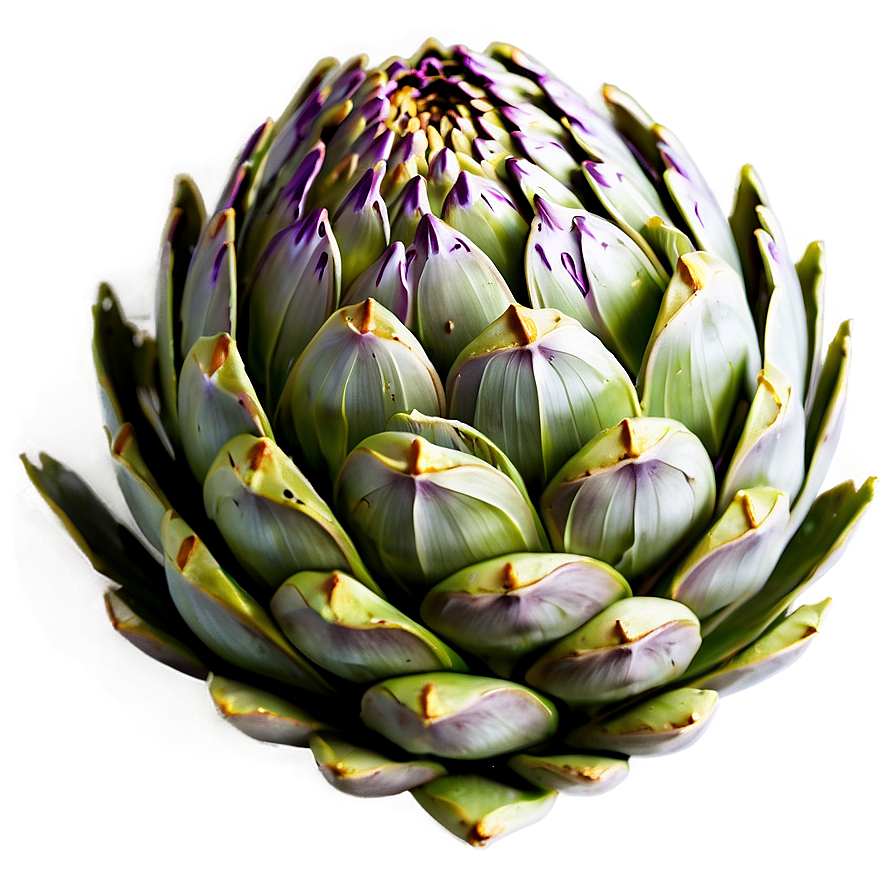 Artichoke Dish Png 24 PNG Image