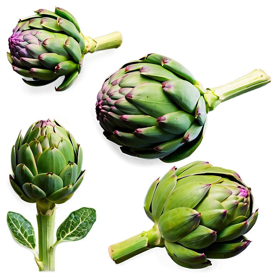 Artichoke Texture Png 06252024 PNG Image