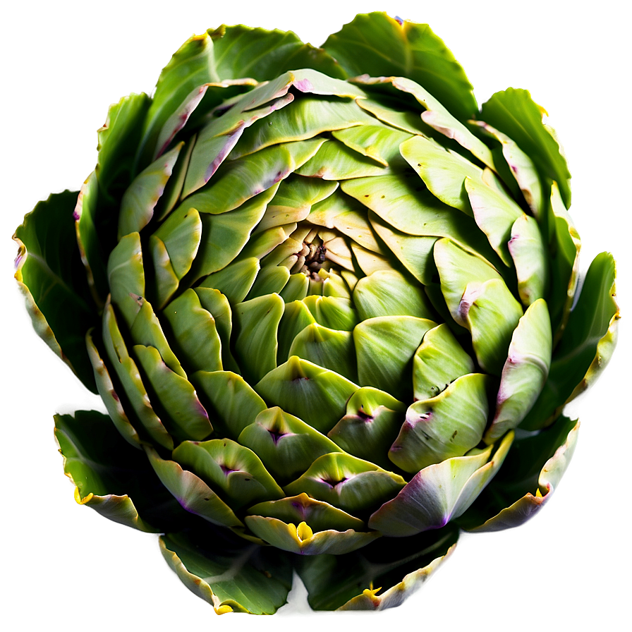 Artichoke Top View Png Nir PNG Image