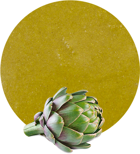 Artichokeon Mustard Backdrop.png PNG Image