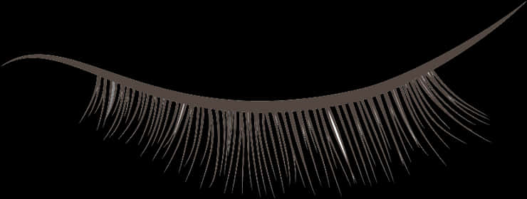 Artificial Eyelash Black Background PNG Image