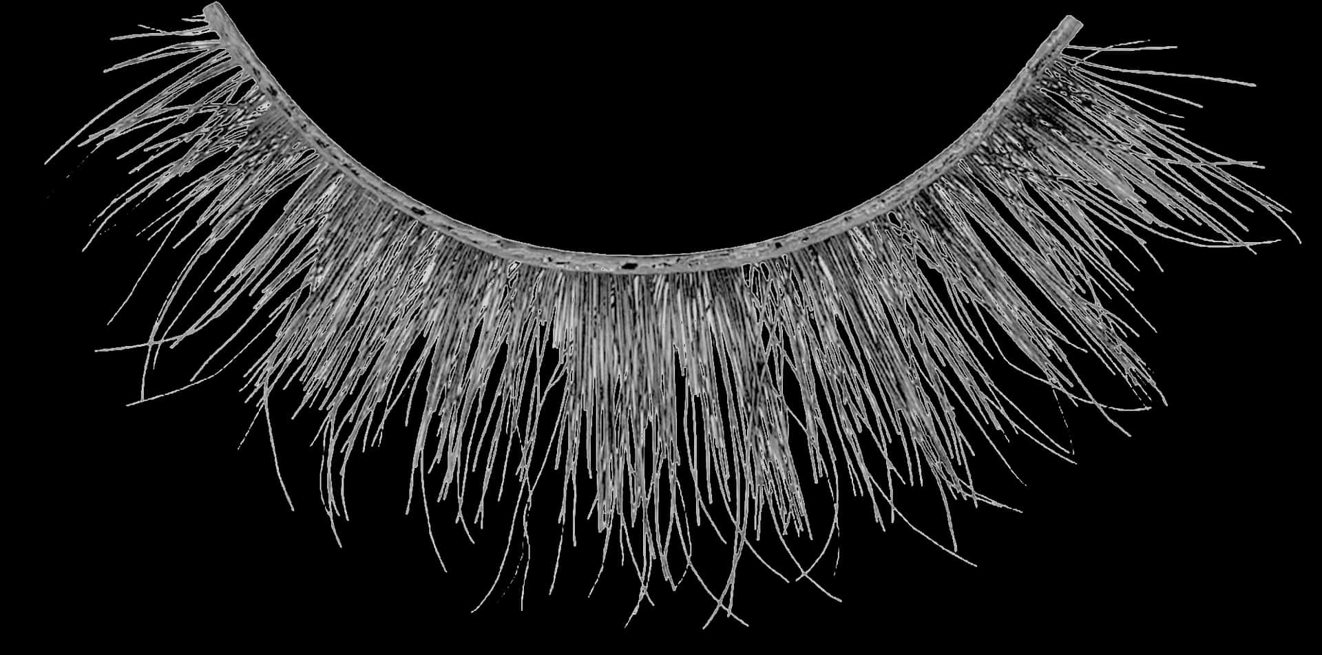 Artificial Eyelashon Black Background PNG Image