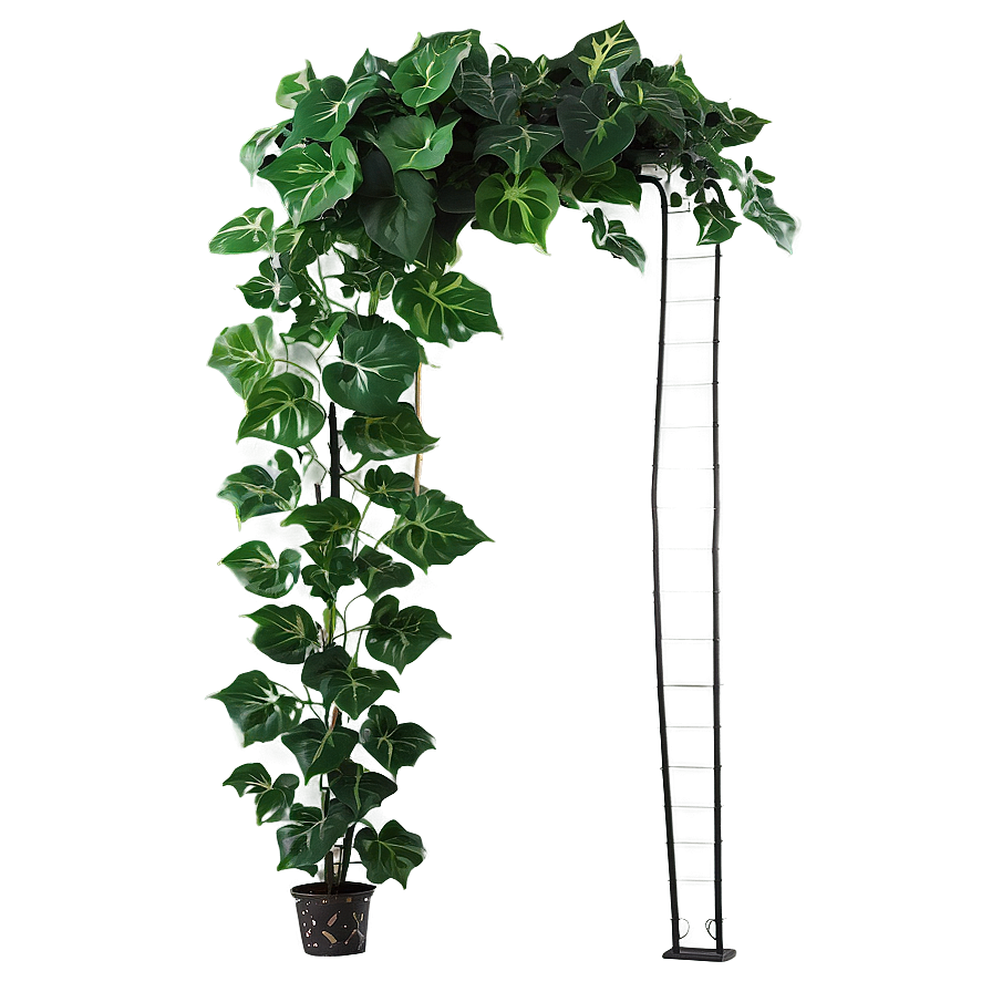 Artificial Ivy Plant Png Vet80 PNG Image