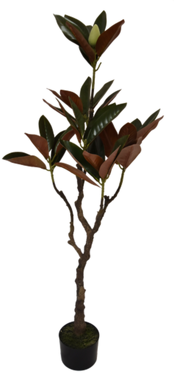 Artificial Magnolia Tree Decoration PNG Image