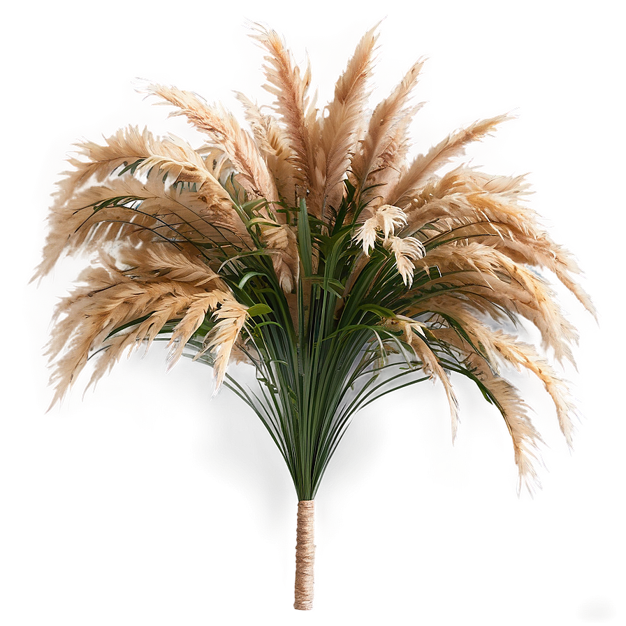 Artificial Pampas Grass Png Afs PNG Image