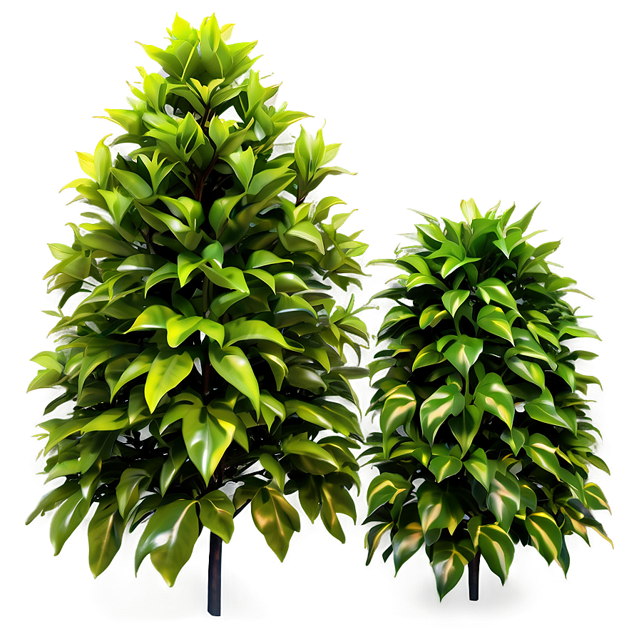 Artificial Shrubbery Png 06282024 PNG Image