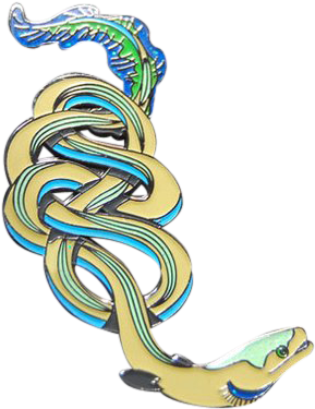 Artistic Eel Illustration PNG Image