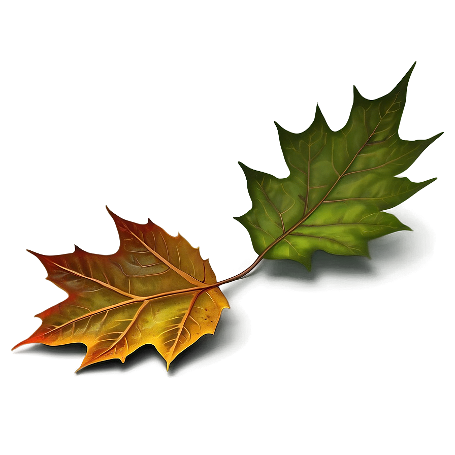 Artistic Fallen Leaves Composition Png Qrs33 PNG Image