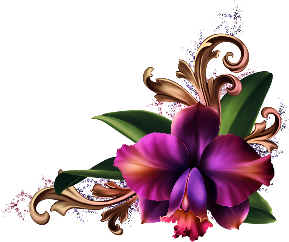 Artistic Orchid Illustration PNG Image