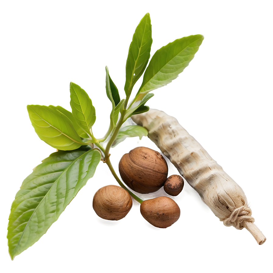 Asian Herb Png Ccm PNG Image