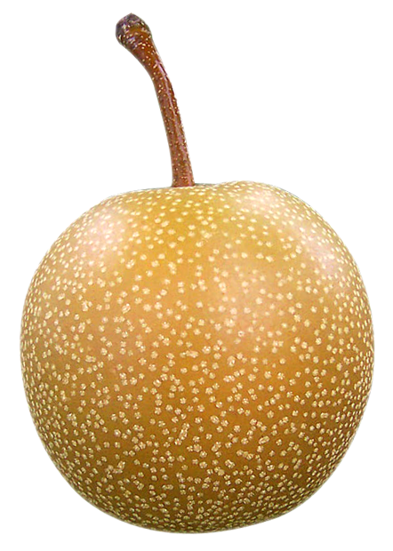 Asian Pear Fruit Texture PNG Image