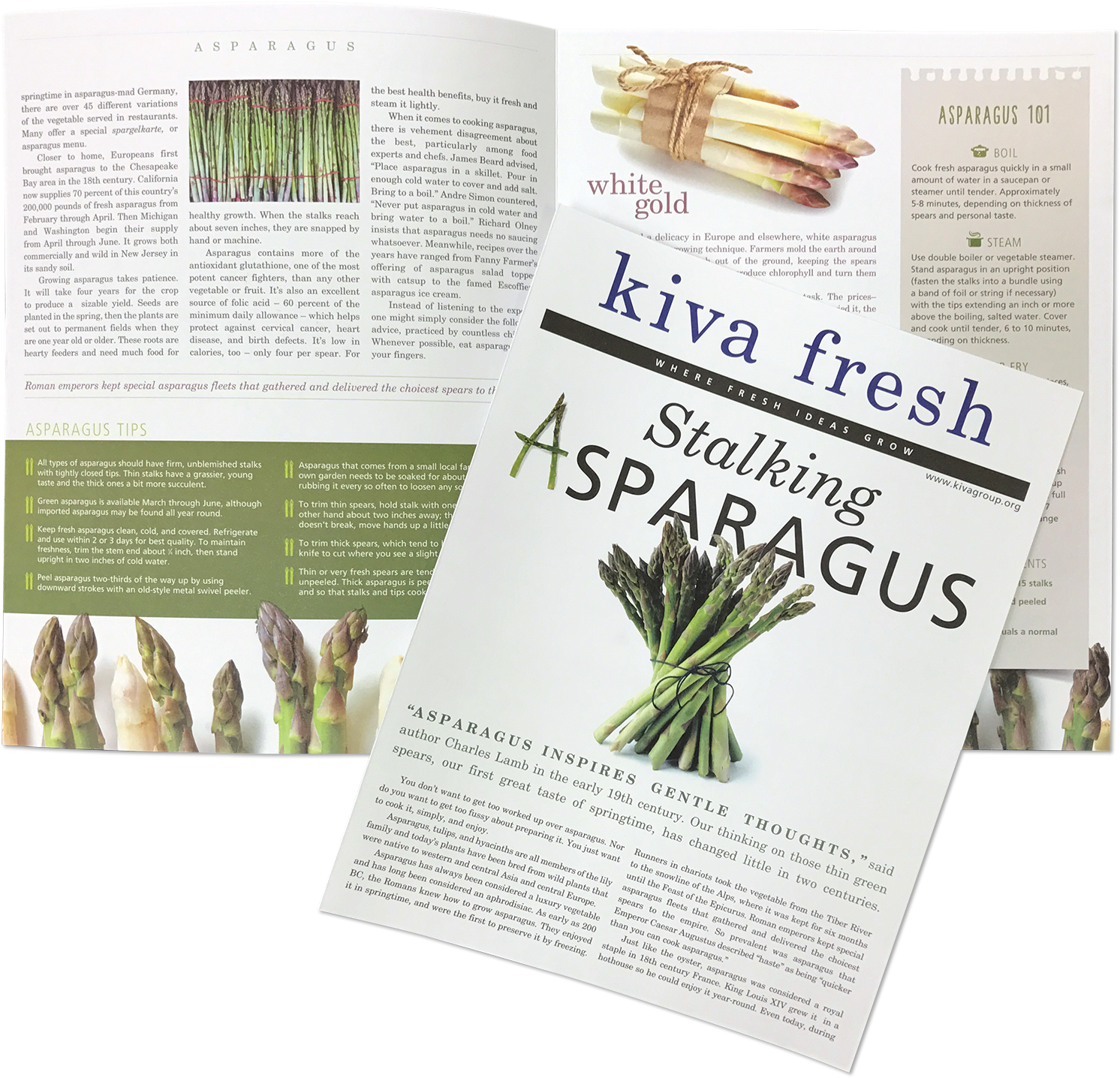 Asparagus Magazine Articles Spread PNG Image