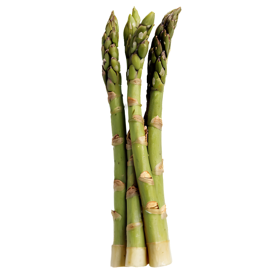 Asparagus Quiche Png Ppc PNG Image