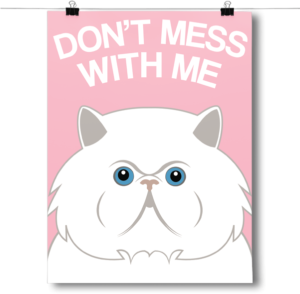 Assertive Persian Cat Poster PNG Image