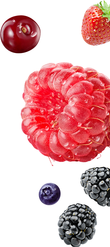 Assorted Berries Floating PNG Image