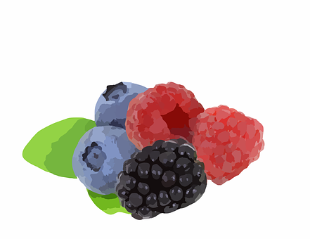 Assorted Berries Illustration PNG Image