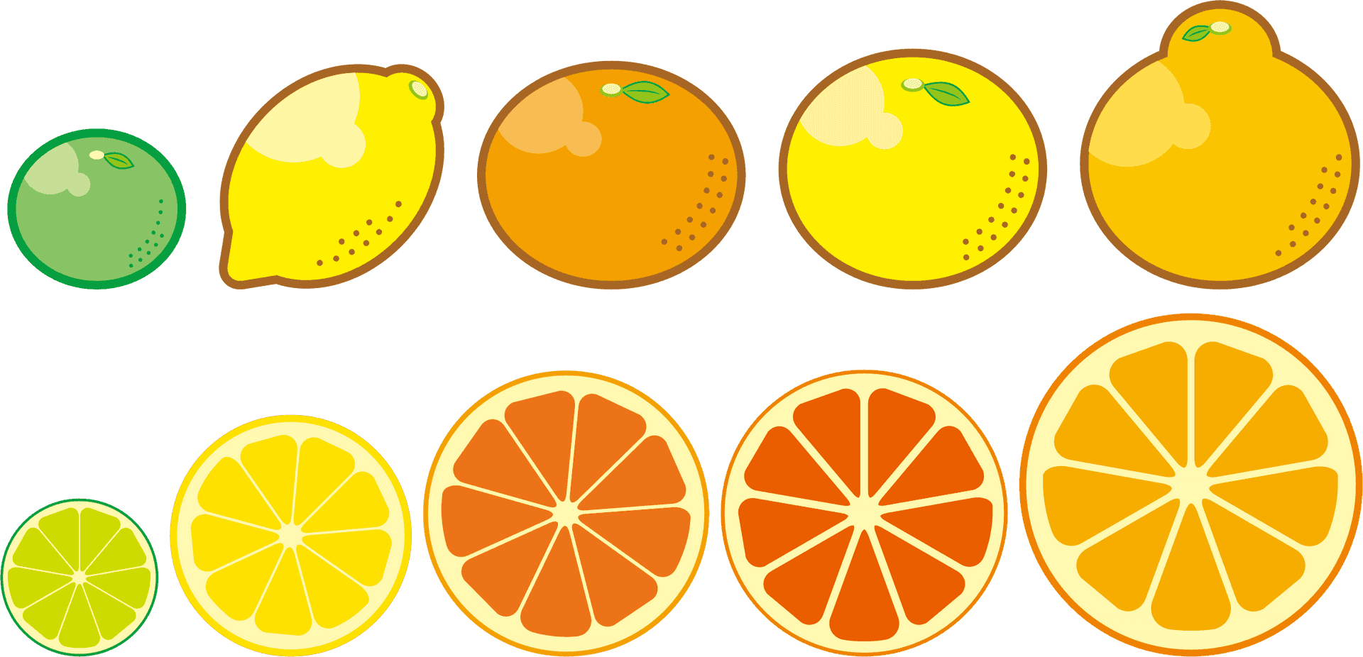 Assorted Citrus Fruits Vector Illustration PNG Image