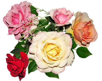 Assorted_ Color_ Roses_ Bouquet PNG Image