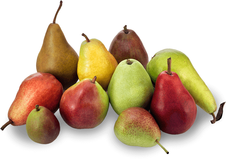 Assorted Fresh Pears Varieties PNG Image