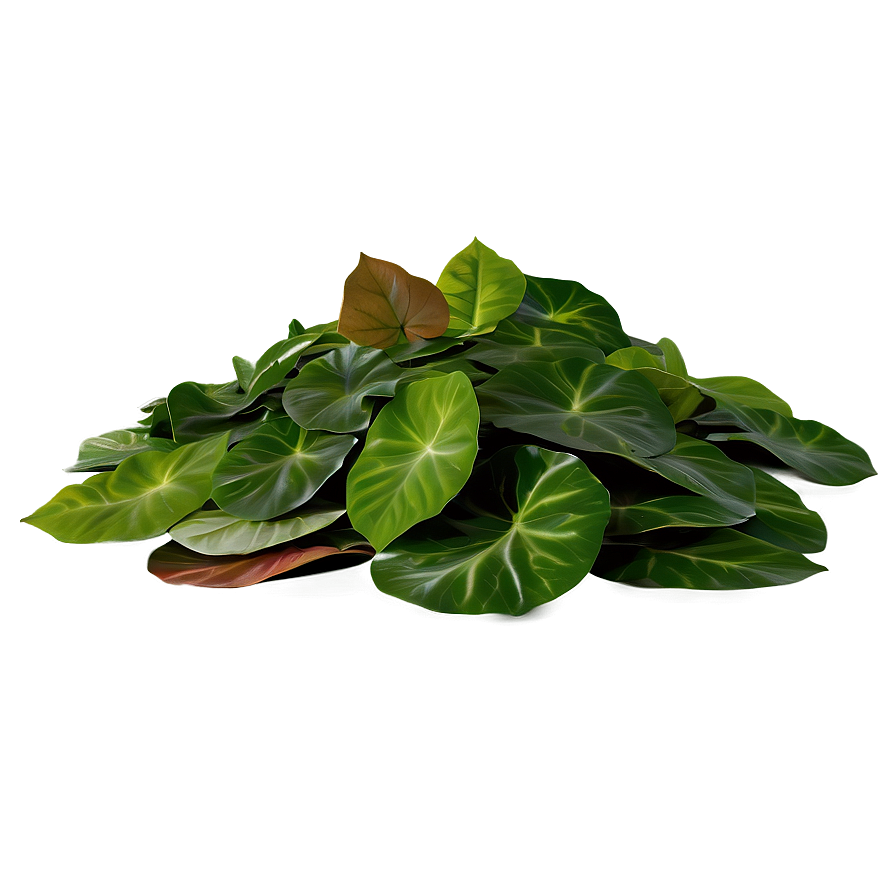 Assorted Leaves Pile Png Tqp PNG Image