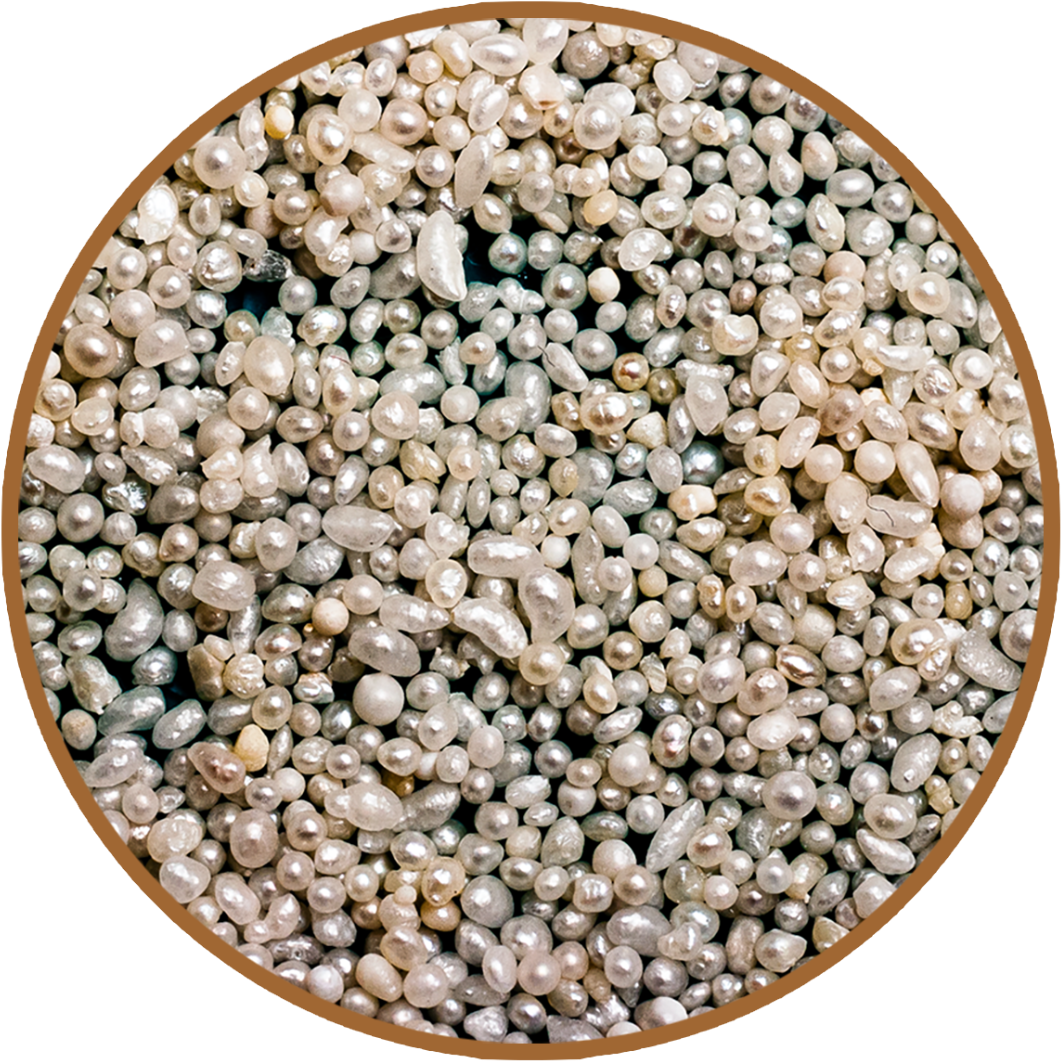 Assorted Pearls Texture PNG Image