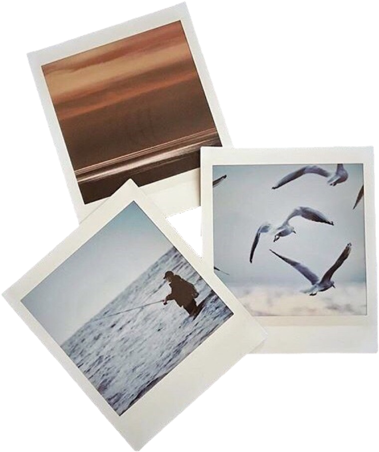 Assorted Photography Prints Collection PNG Image