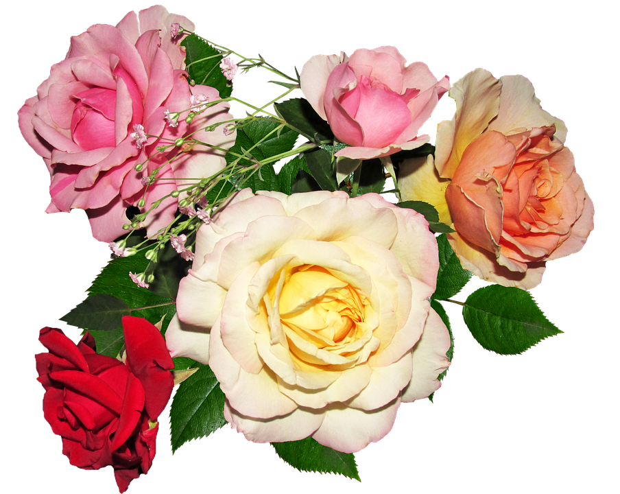 Assorted Roses Bouquet PNG Image