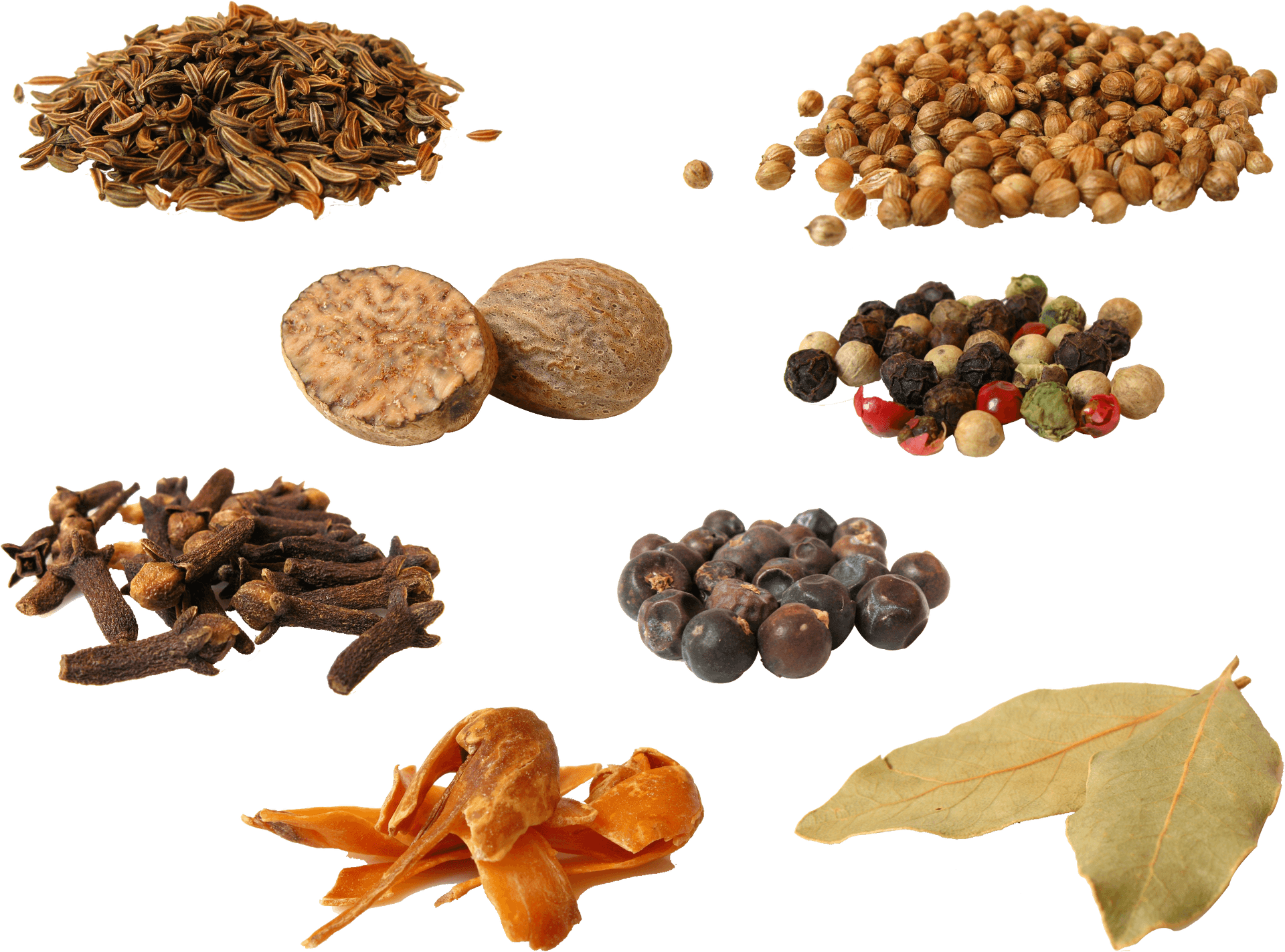 Assorted Spices Collection PNG Image