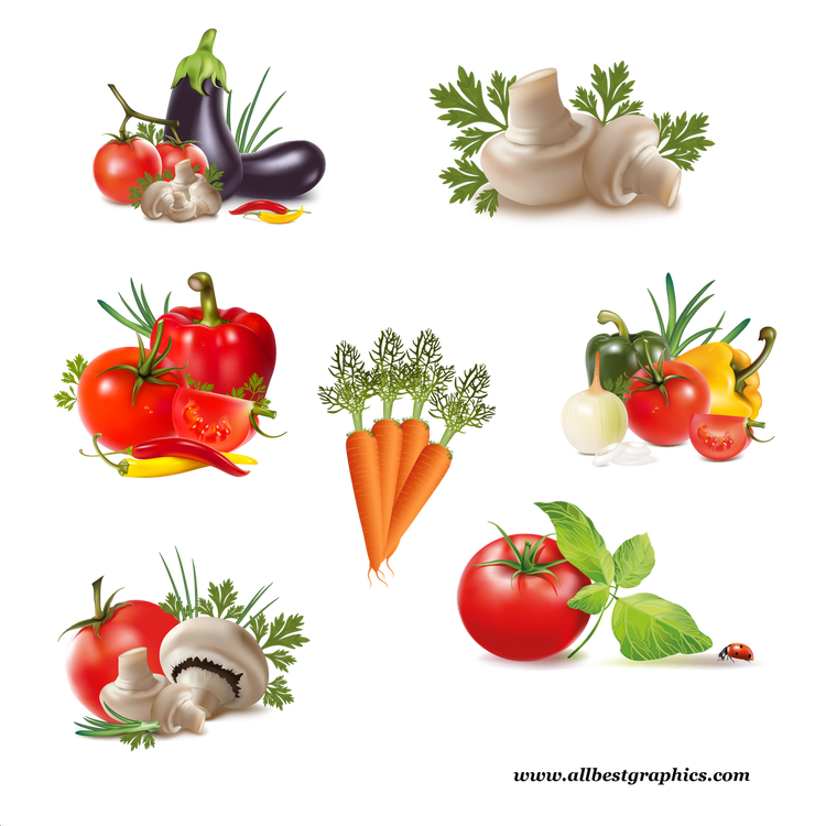 Assorted Vegetables Collection PNG Image