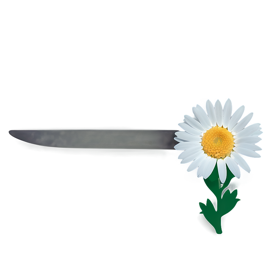 Attractive Daisy Representation Png Ihn PNG Image