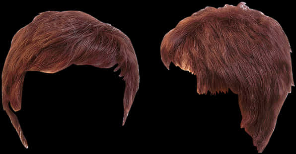 Auburn_ Hair_ Wigs_ Isolated_on_ Black_ Background PNG Image