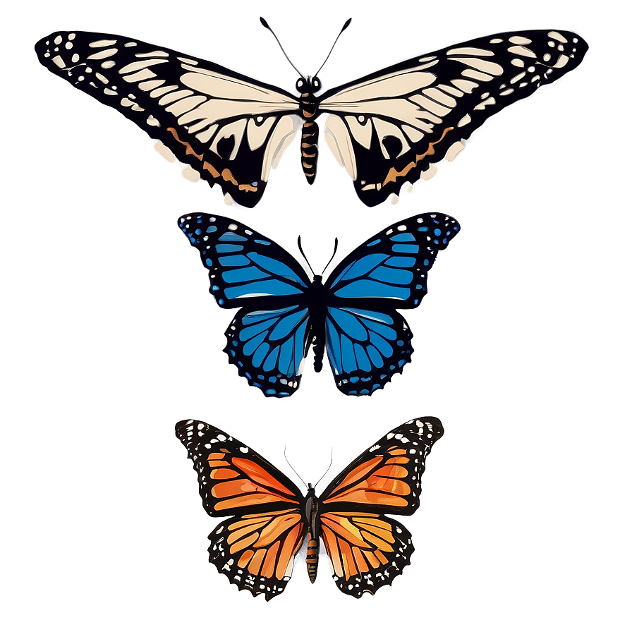 Authentic Butterfly Graphic Png Dgx18 PNG Image