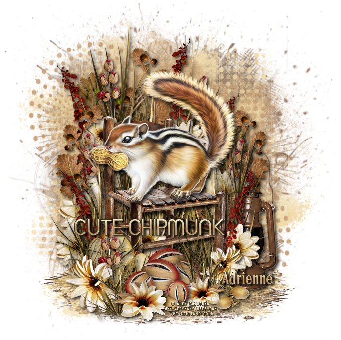 Autumn Chipmunk Illustration PNG Image