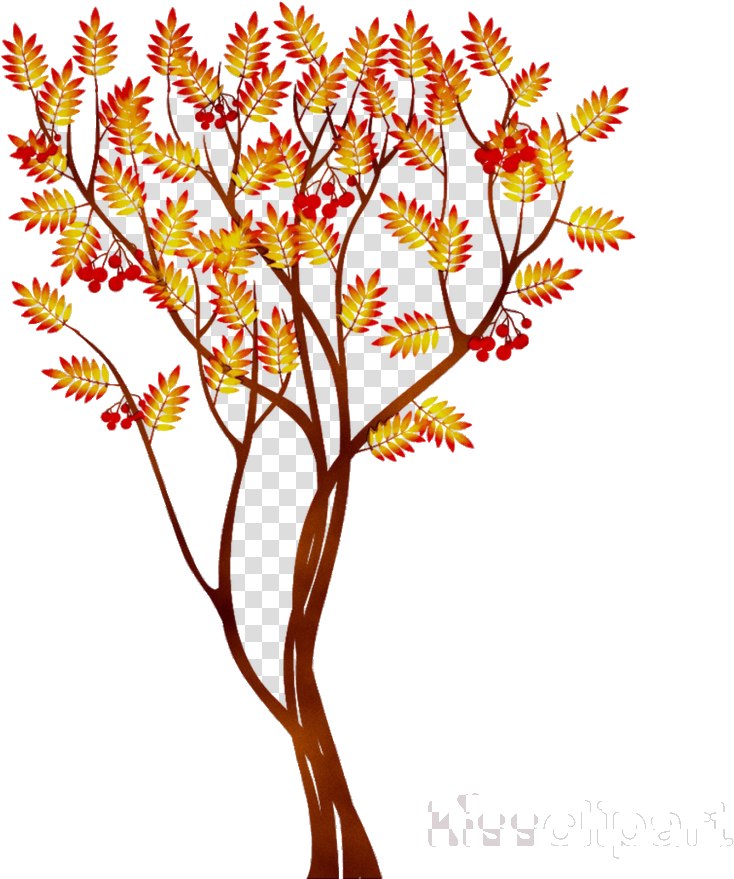 Autumn Flower Tree Transparent Background PNG Image