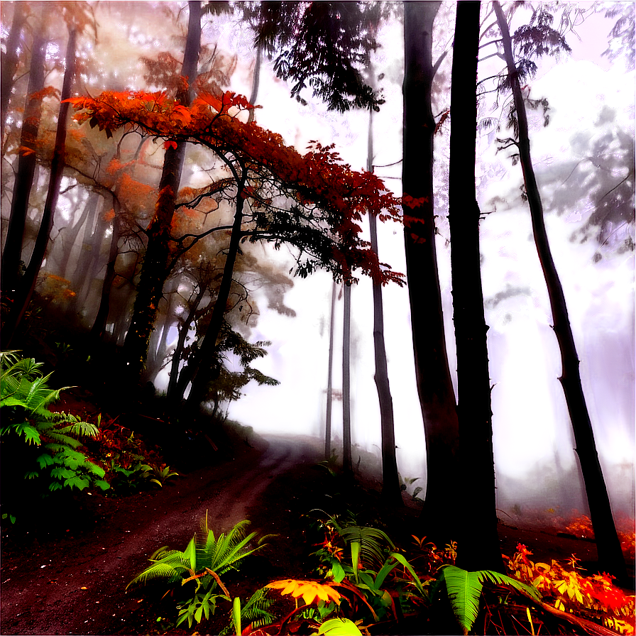 Autumn Foggy Morning Png Dgh9 PNG Image