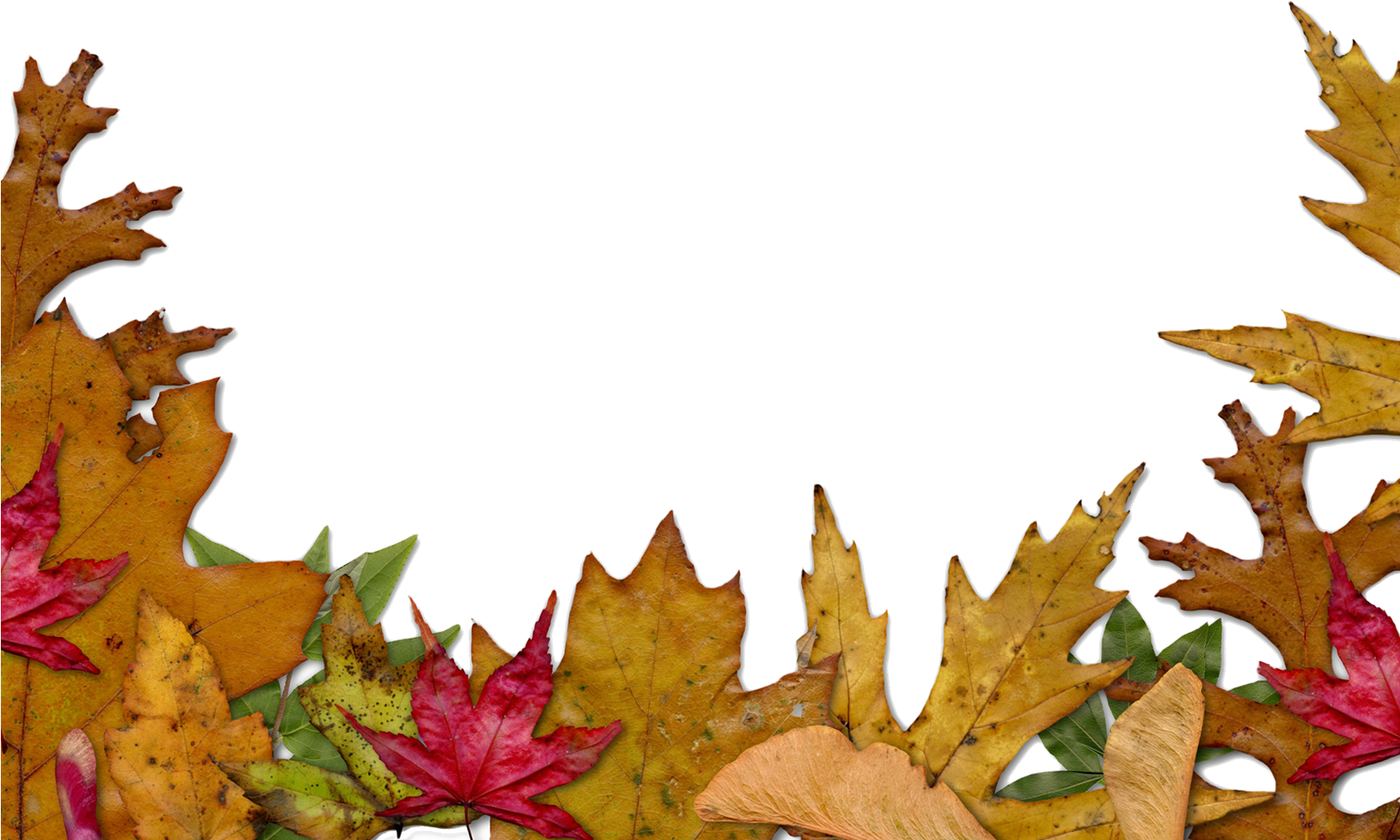 Autumn_ Leaf_ Border_ Background.png PNG Image