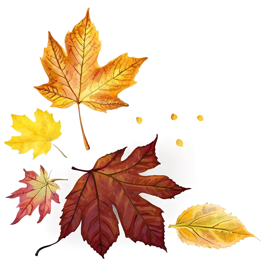 Autumn Leaf Collection Png 06202024 PNG Image