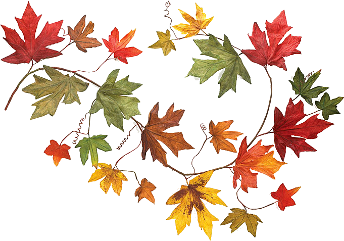 Autumn Leaf Garland PNG Image