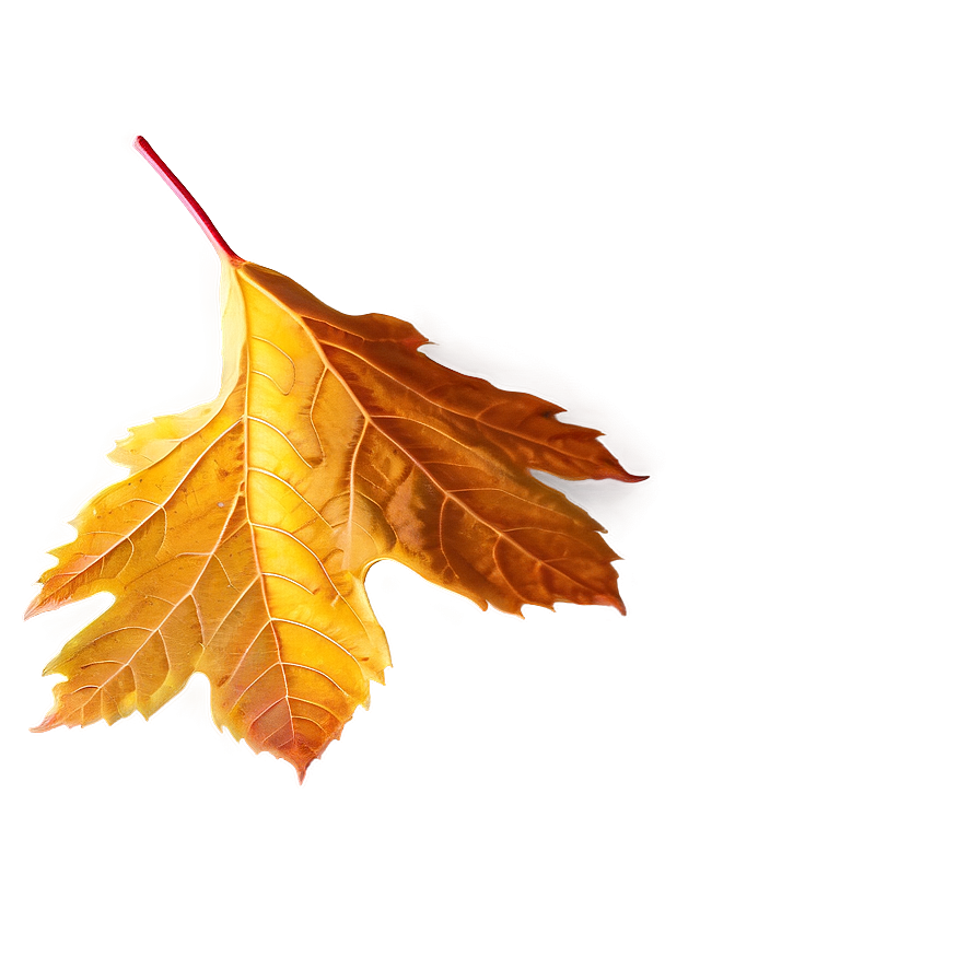 Autumn Leaf In Sunlight Png Djv66 PNG Image