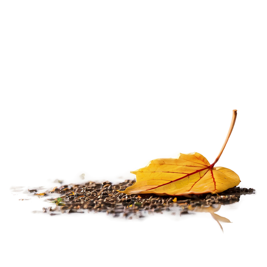 Autumn Leaf On Ground Png Uch45 PNG Image